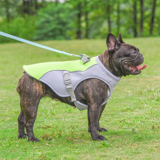 Dog Cooling Vest for Summer 🐶 Breathable & Sun-Proof